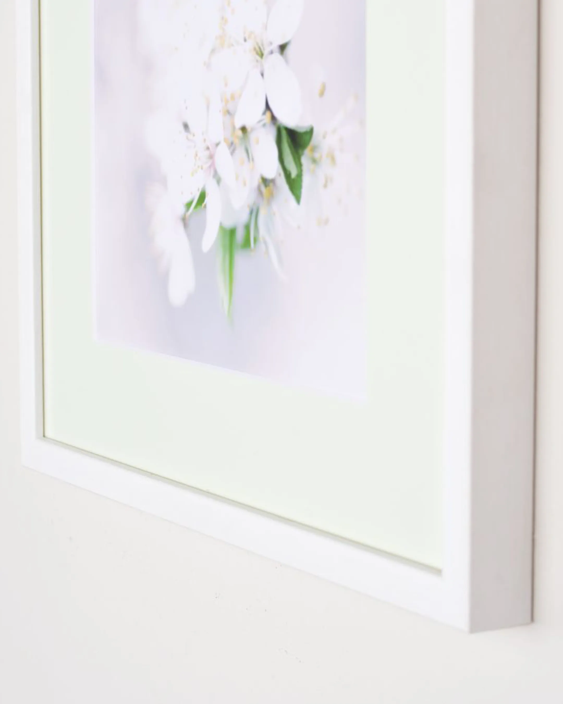 Passe-partout Moss 18 in een interieur