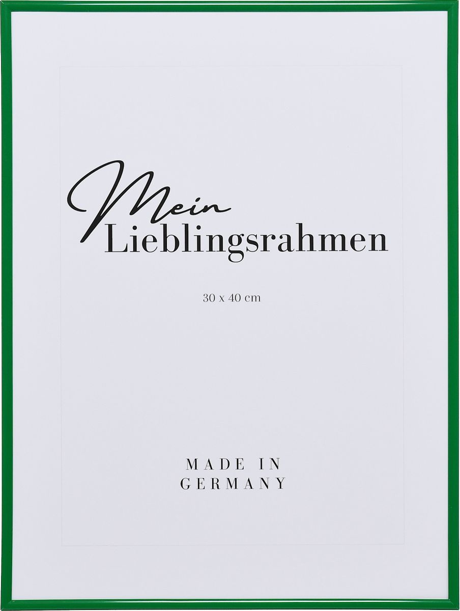 Frontansicht eines grÃ¼nen, schmalen Kunststoffrahmens mit Halbrundprofil