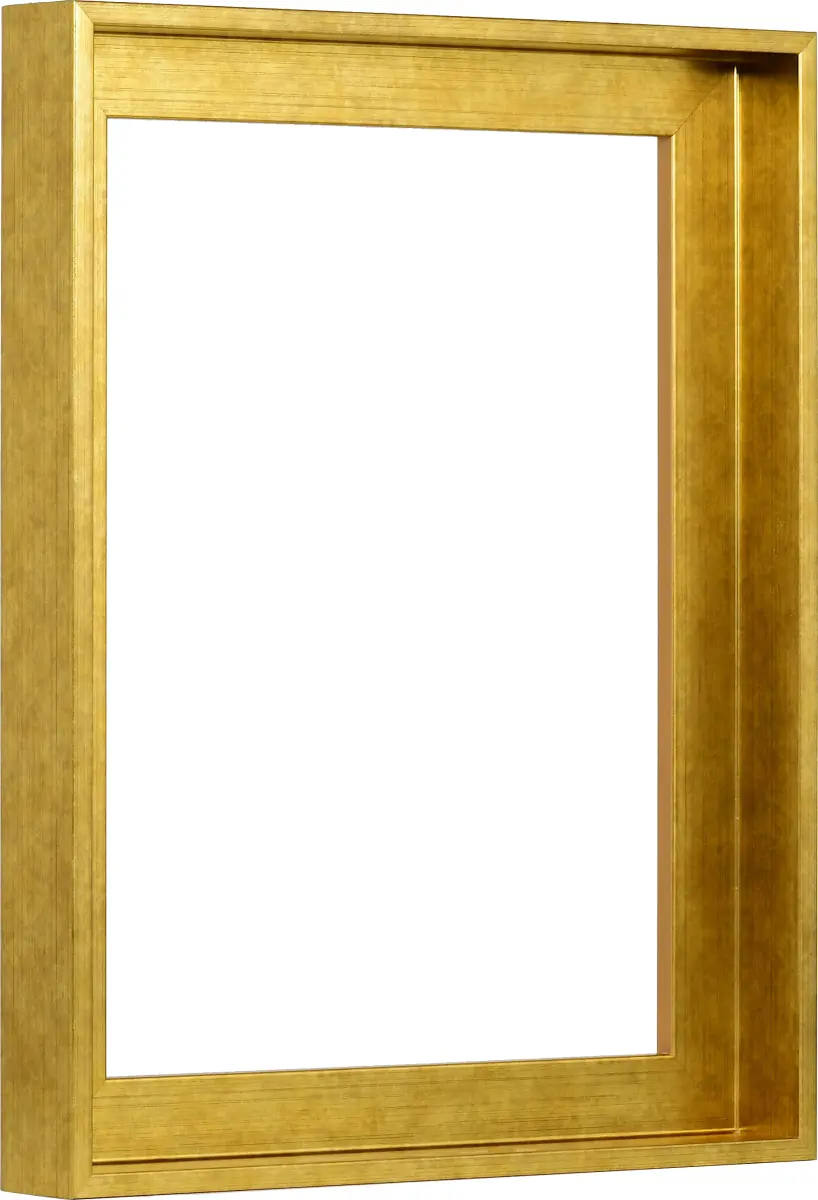 Zijaanzicht van een eenvoudige baklijst 30x40 in oudgoud